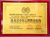 优秀青少年心理教育机构